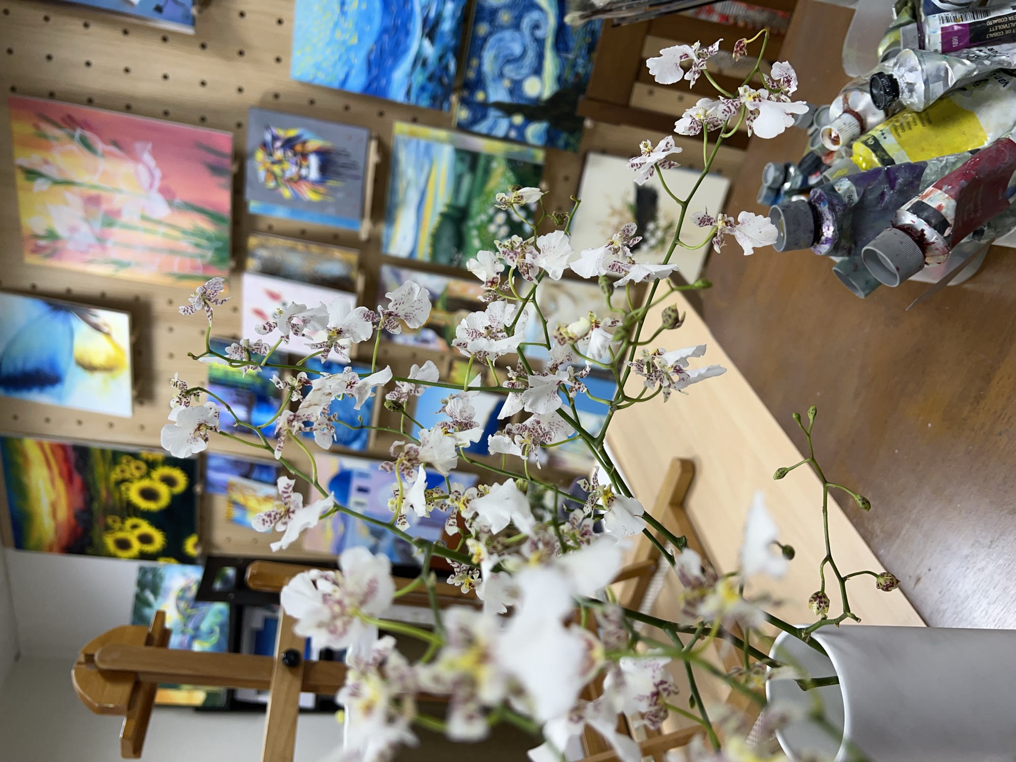 齊可畫室中的花朵、畫架與牆面上的多彩繪畫作品